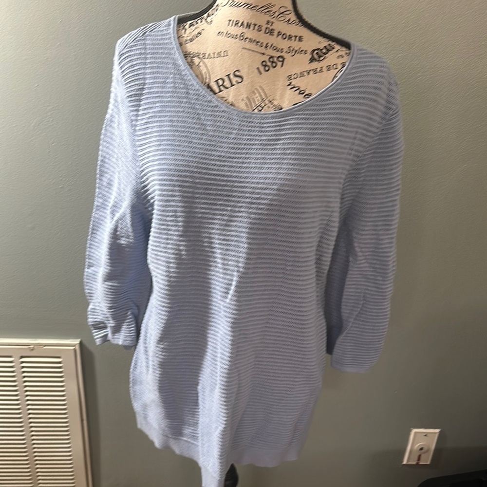 J. Jill Light Blue Striped Sweatshirt